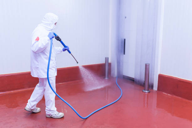 Best Boat and Dock Cleaning  in Mount Vernon, IA