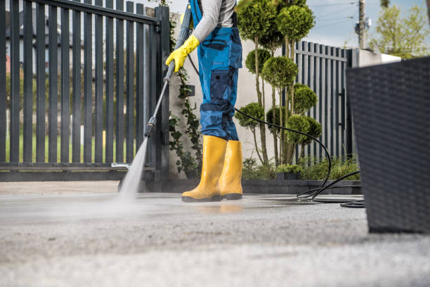Animal Enclosure Cleaning in Mount Vernon, IA